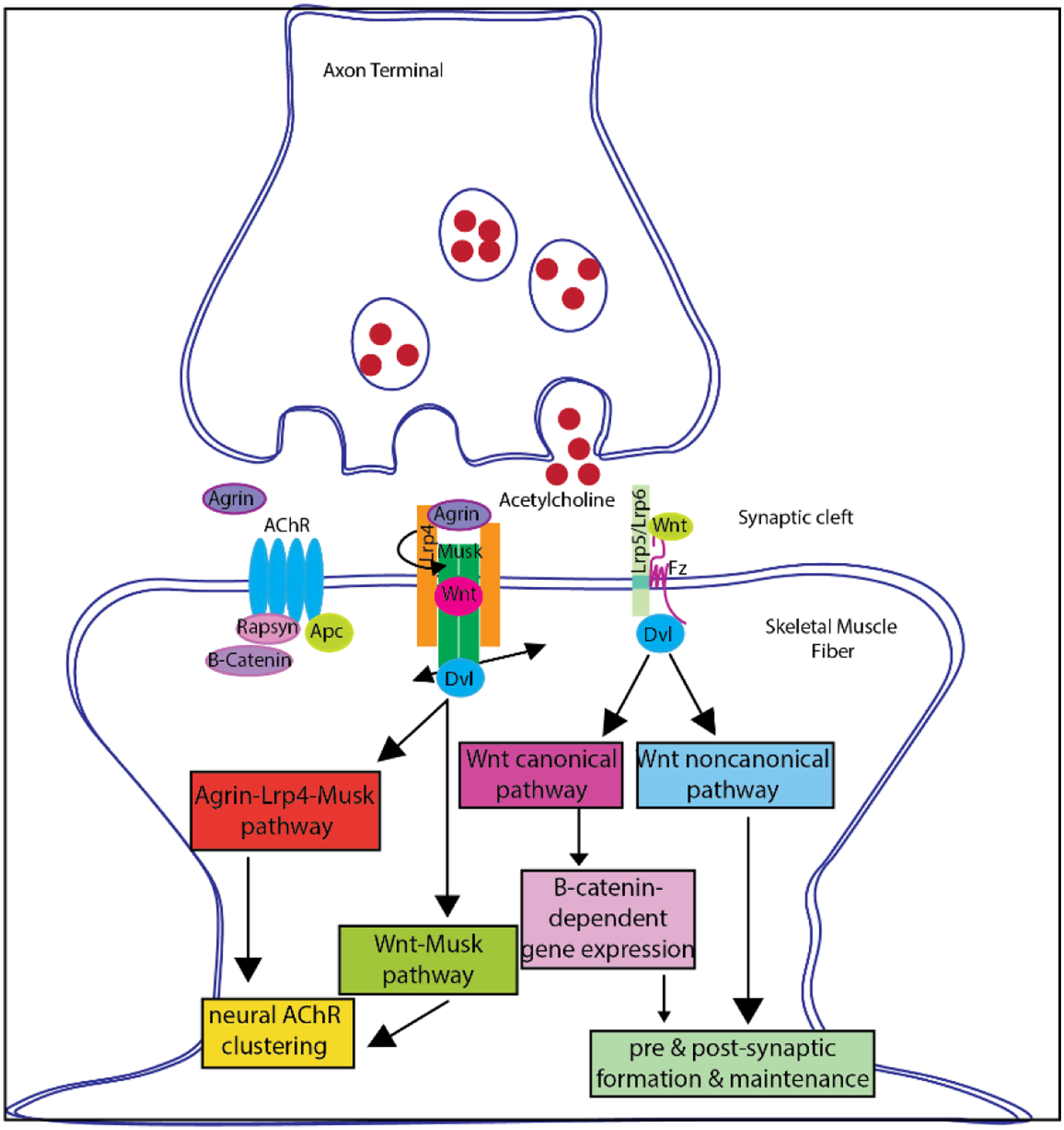 Figure 6: