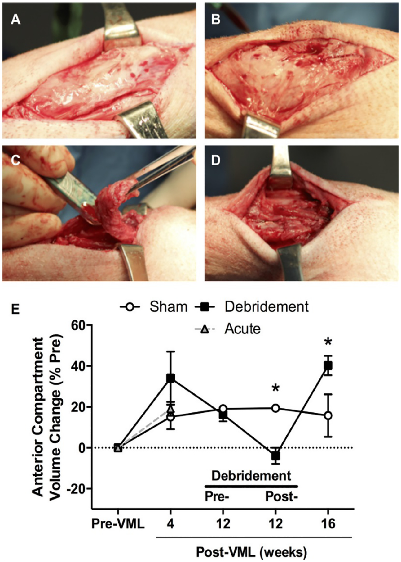 Figure 2: