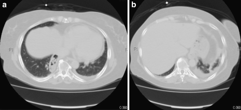 Fig. 5