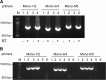 FIG 6