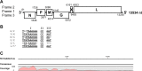 FIG 2