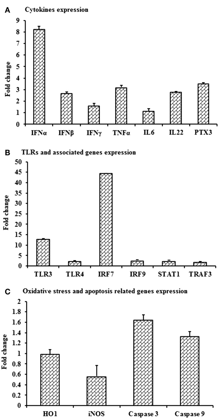 Figure 7