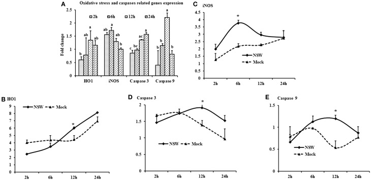 Figure 5