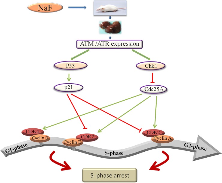 Figure 21