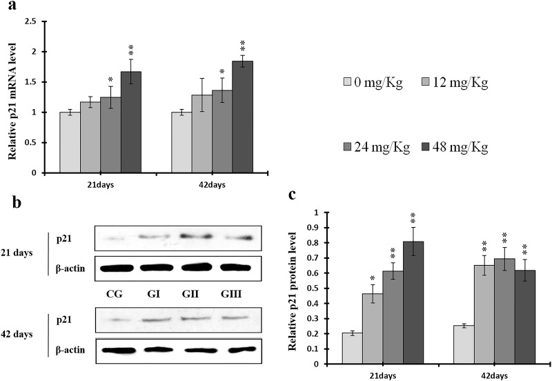 Figure 17