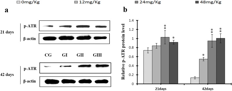 Figure 18