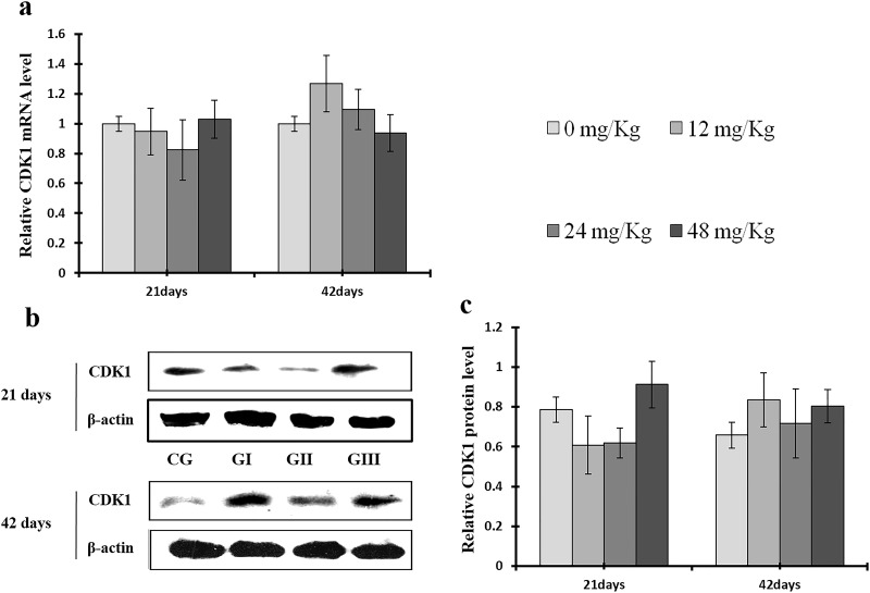 Figure 14