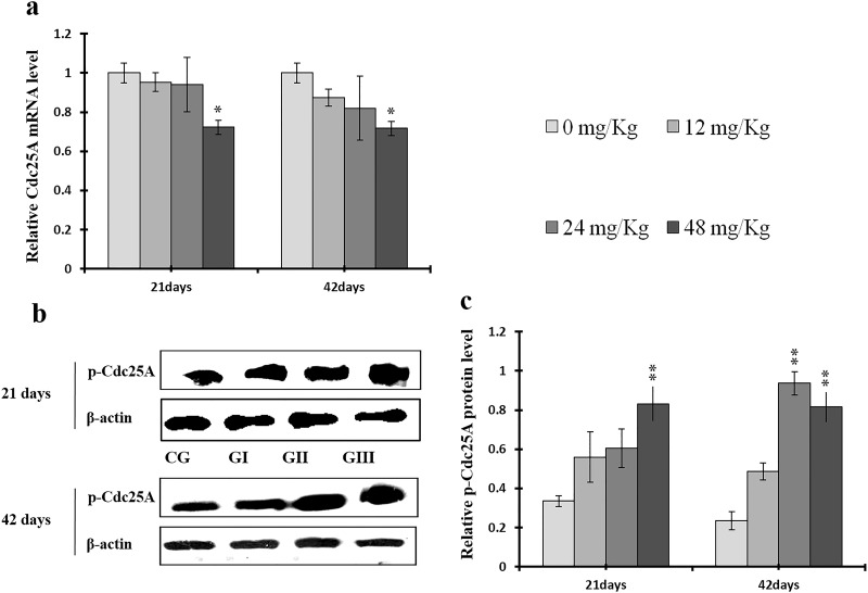 Figure 20