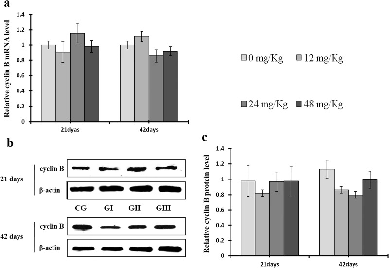 Figure 12