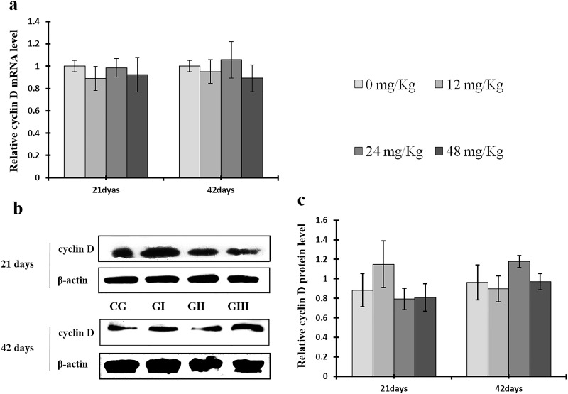 Figure 13