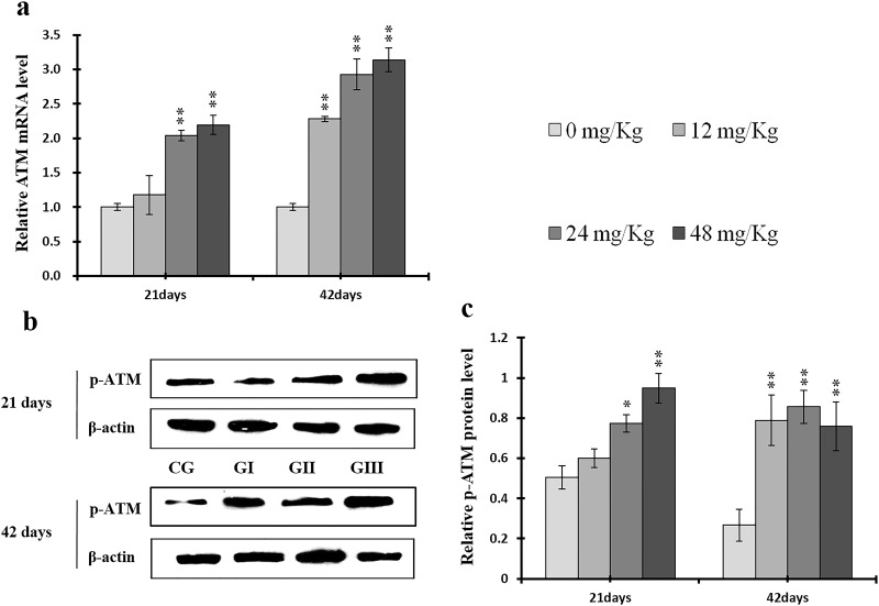 Figure 15