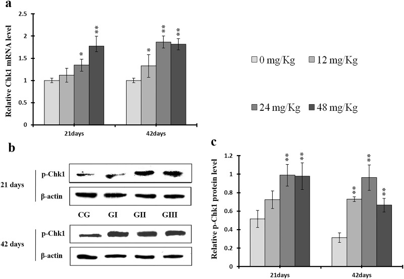 Figure 19