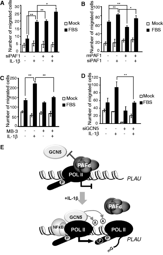 Figure 7.