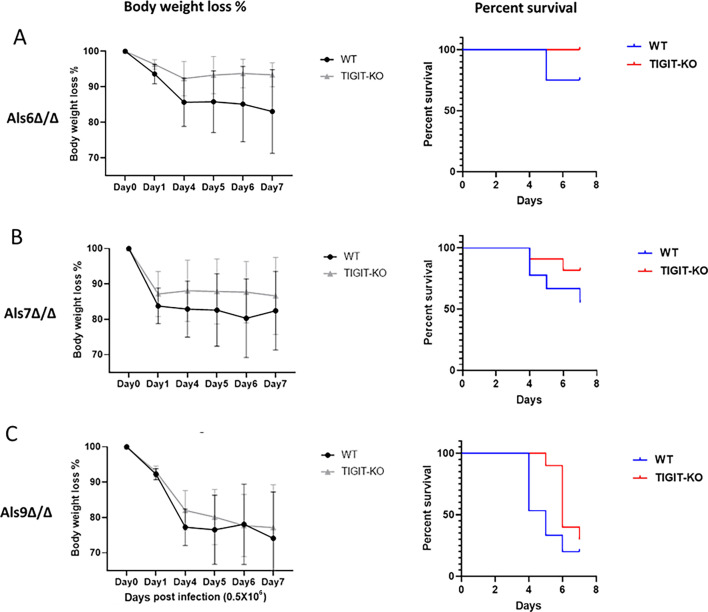 Graphs plot body weight loss and percent survival of WT and TIGIT-KO mice infected with Candida strains Als6Δ/Δ, Als7Δ/Δ, and Als9Δ/Δ. Each strain is analyzed separately over a period of 7 days, which compares weight loss and survival rates.