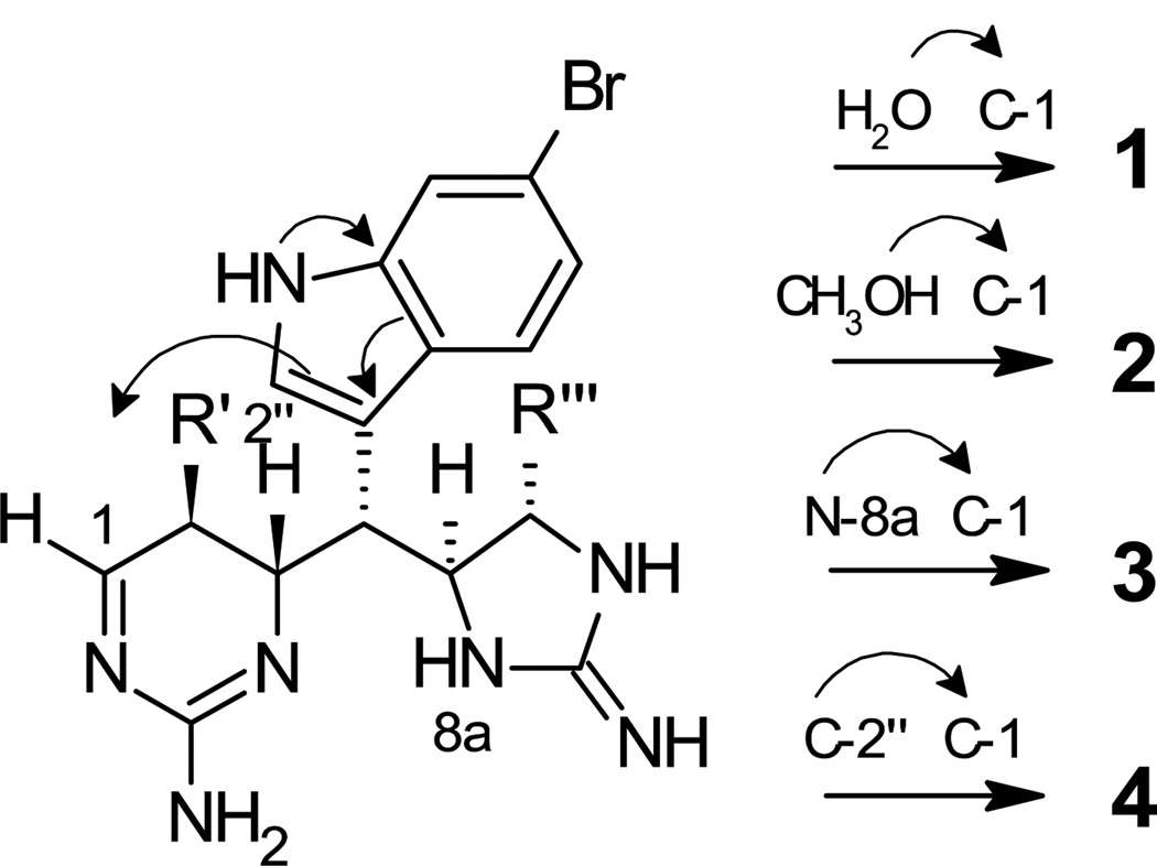 Scheme 1