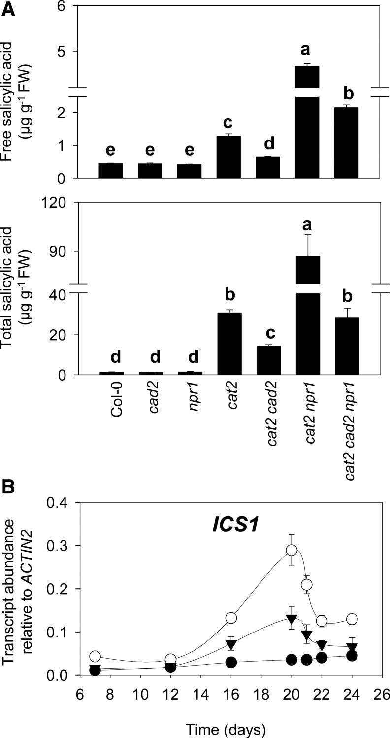 FIG. 7.