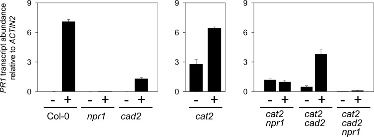 FIG. 9.