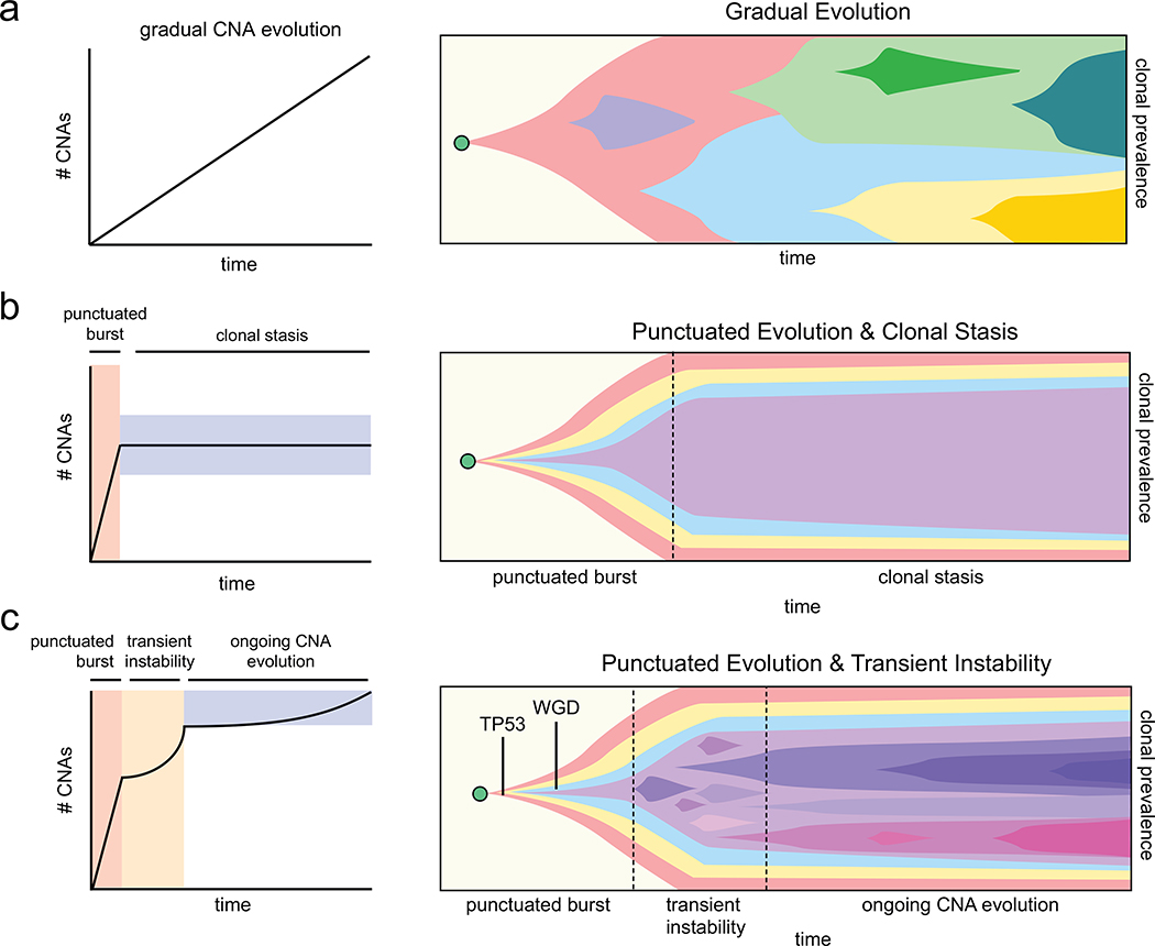 Extended Data Figure 10 –