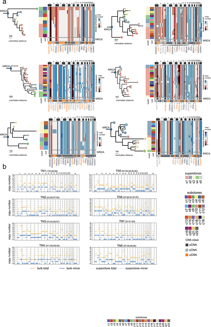 Extended Data Figure 6 -