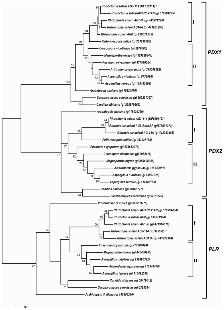 Figure 6