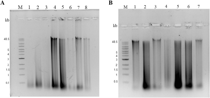 Fig. 4