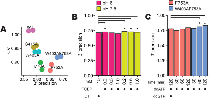 Figure 3: