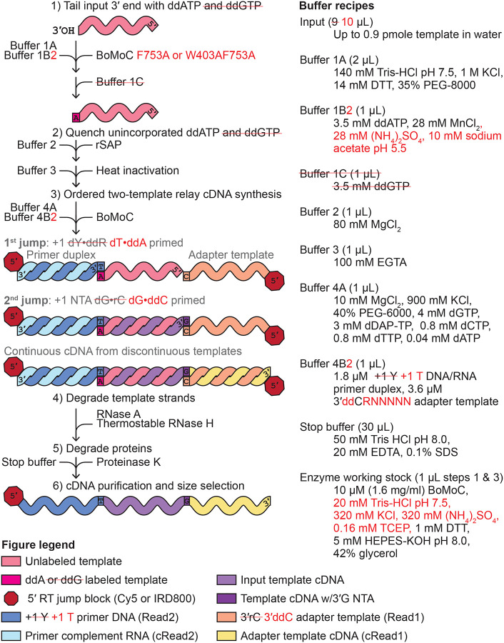 Figure 1: