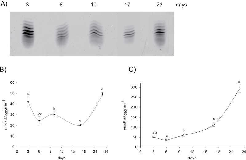 Fig. 9.