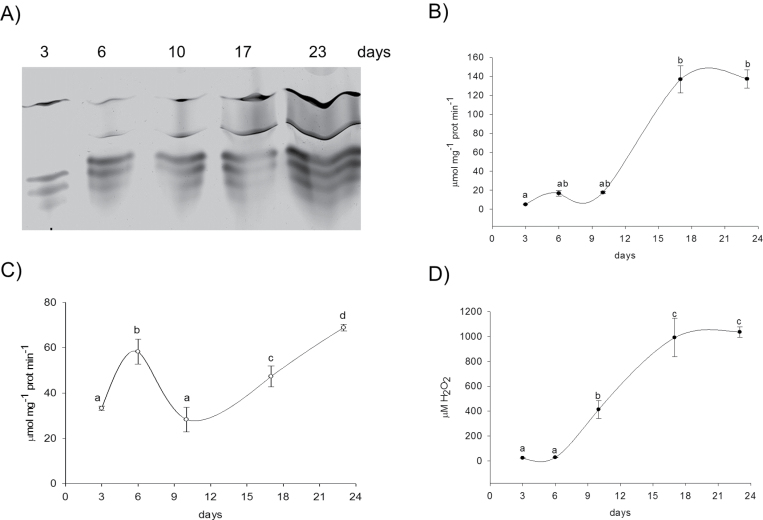 Fig. 8.