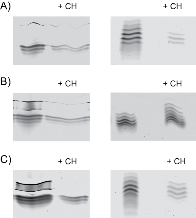 Fig. 11.