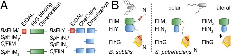 Fig. 6.