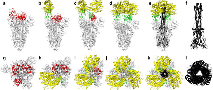 Fig. 6