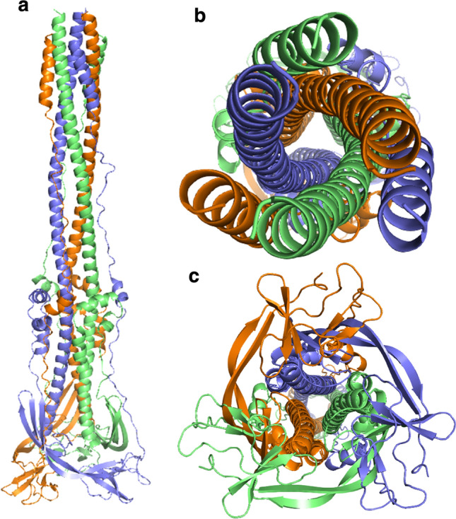 Fig. 2