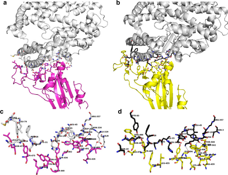 Fig. 7