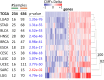 Figure 2—figure supplement 3.