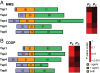 Fig. 1.