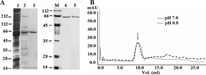 FIGURE 1.