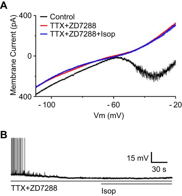 Fig. 8.