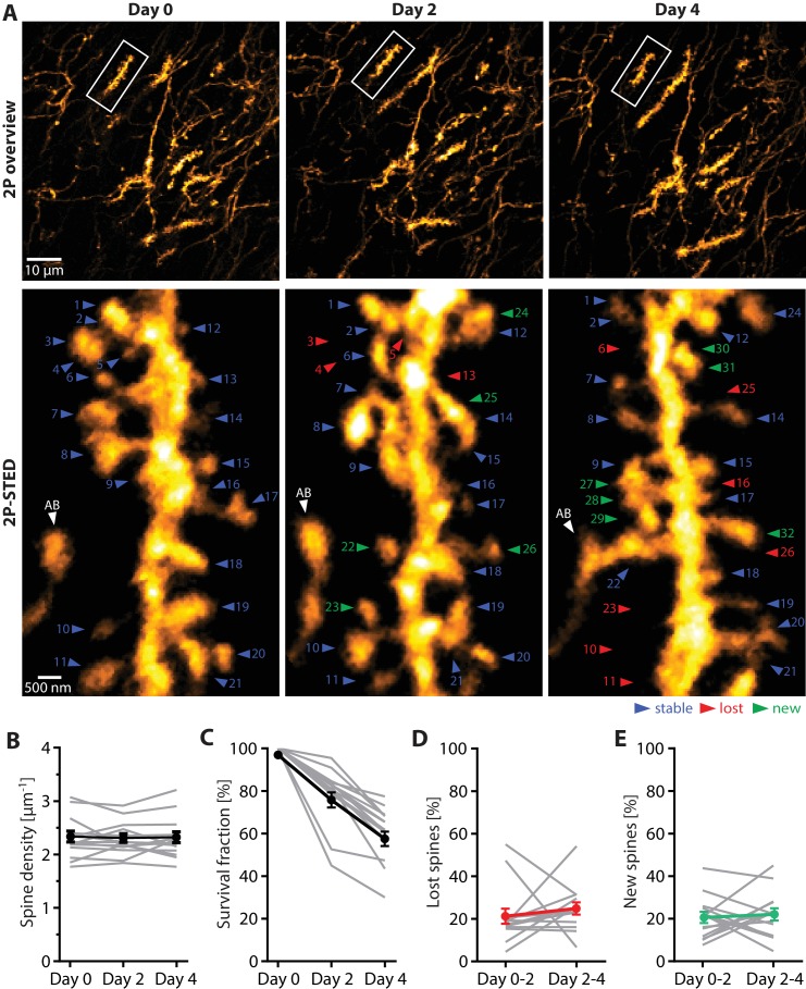 Figure 3.