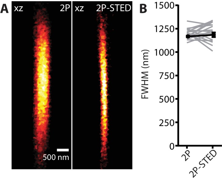 Figure 1—figure supplement 1.