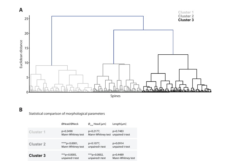 Figure 4—figure supplement 1.