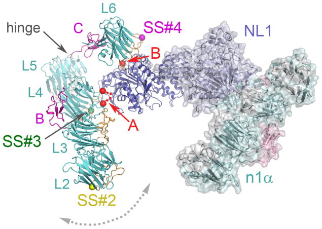 Fig. 6