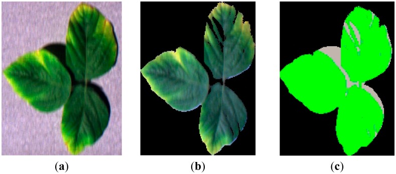 Figure 5.