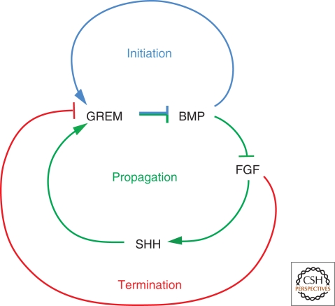 Figure 5.