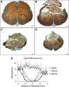 <b>FIG. 4.</b>