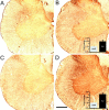 Fig. 8.