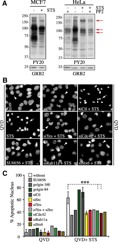 Figure 9.