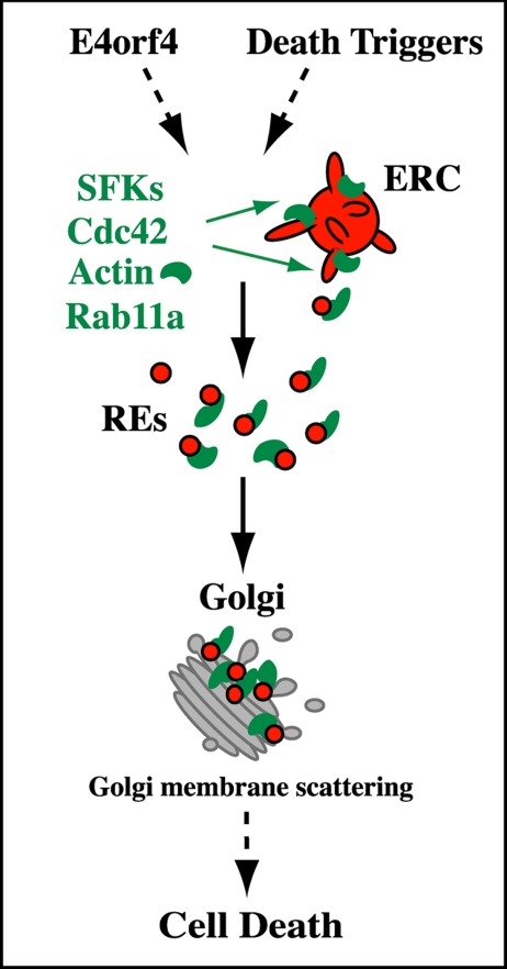 Figure 10.