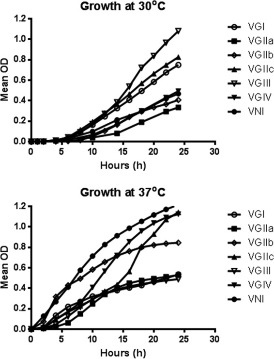 FIG 2