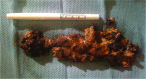 <b>FIG. 2.</b>